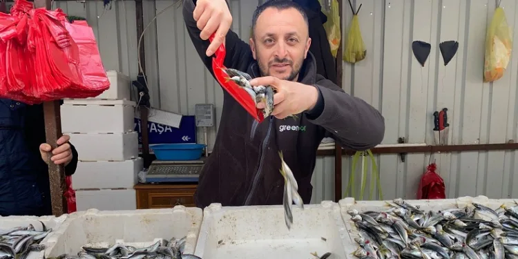 Fiyatların artışı balık satışlarını azalttı