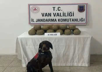 Van’da 50 kişi yakalandı