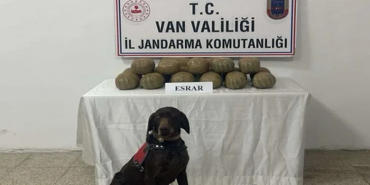 Van’da 50 kişi yakalandı