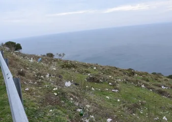 Sinop’ta üzücü görüntü