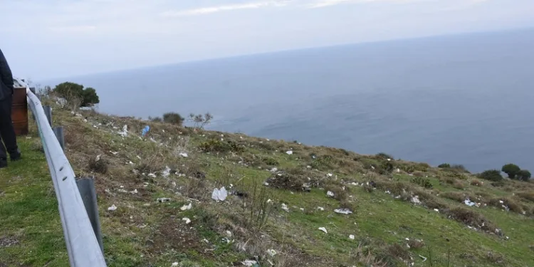 Sinop’ta üzücü görüntü