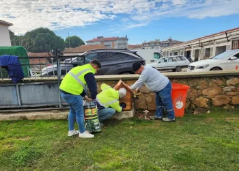 Gömeç’te sokak kedilerine, kedi evi