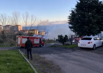 Sinop’ta korkutan yangın