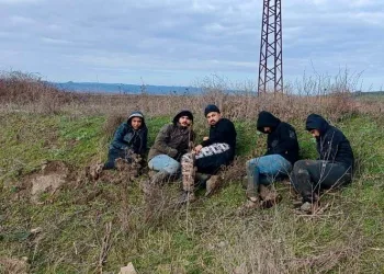 Edirne’de 21 kaçak göçmen yakalandı