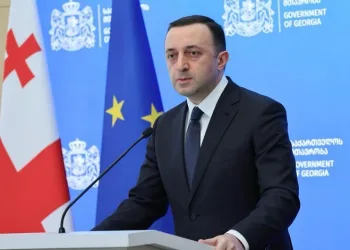 Gürcistan Başbakanı Garibaşvili istifa etti