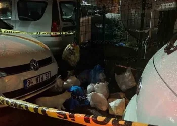 Sarıyer’de çöp konteynerinde yeni doğmuş bebek bulundu