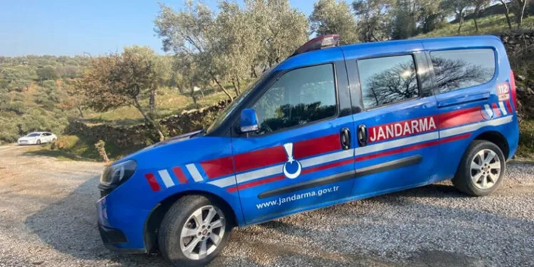 Zeytinyağı hırsızı jandarmadan kaçamadı