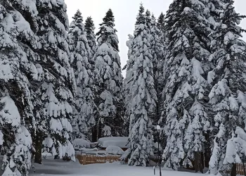 Uludağ’da kar kalınlığı 76 cm