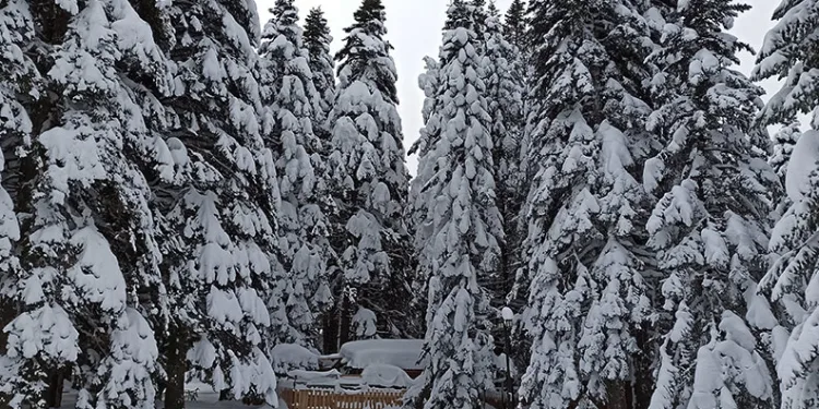 Uludağ’da kar kalınlığı 76 cm