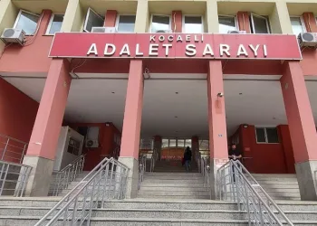 Kedi sahiplenmek isterken dolandırıldı