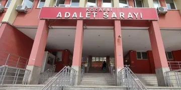 Kedi sahiplenmek isterken dolandırıldı
