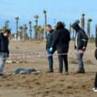 Antalya sahillerinde 6 günde 8 ceset bulundu