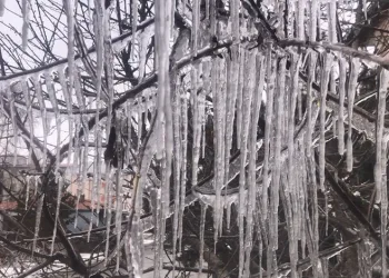 Kars eksi 17’yi gördü