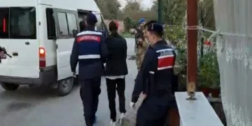 244 düzensiz göçmen ve 26 organizatörü yakaladı