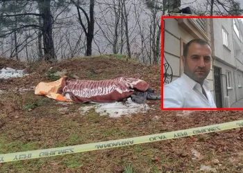 Bursa’da kestiği ağacın altında kalarak can verdi