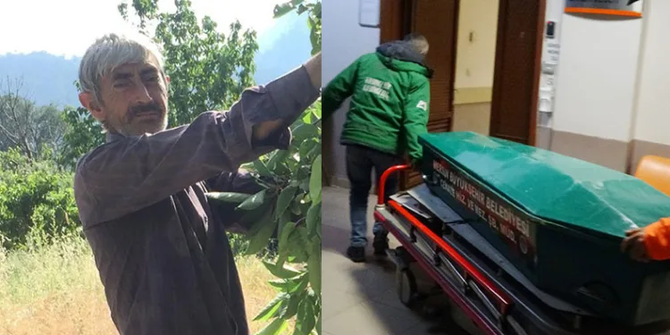 Kesilen ağacın altında kalan çiftçi hayatını kaybetti