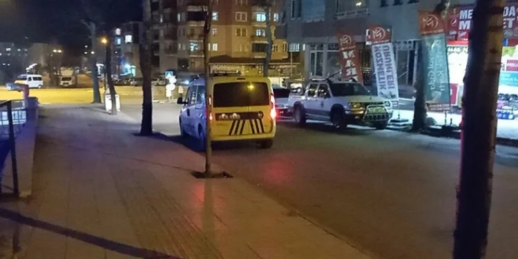 Ağabey ve kardeşin kavgası kanlı bitti