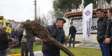 Balıkesir Büyükşehir’den üreticilere meyve fidanı desteği