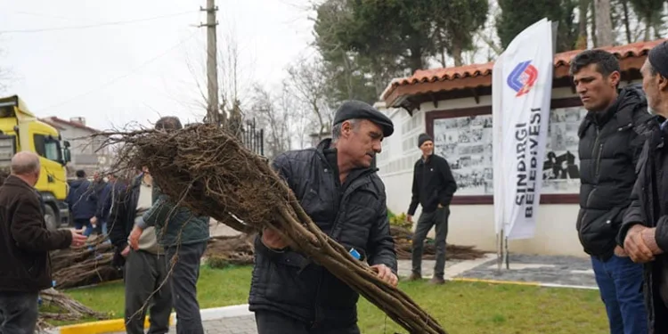 Balıkesir Büyükşehir’den üreticilere meyve fidanı desteği