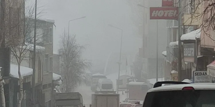 Ardahan’da soğuk hava ve sis etkili oldu