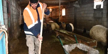 Beytüşşebap’ta besicilerin zorlu kış mesaisi sürüyor