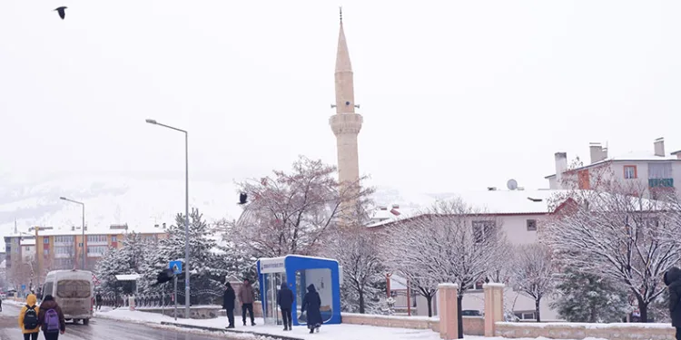 Erzurum güne karla uyandı