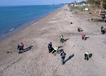 Deniz kaplumbağalarının yuvalama alanı temizlendi
