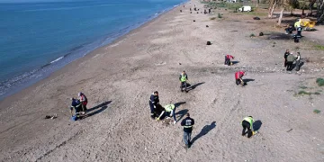 Deniz kaplumbağalarının yuvalama alanı temizlendi