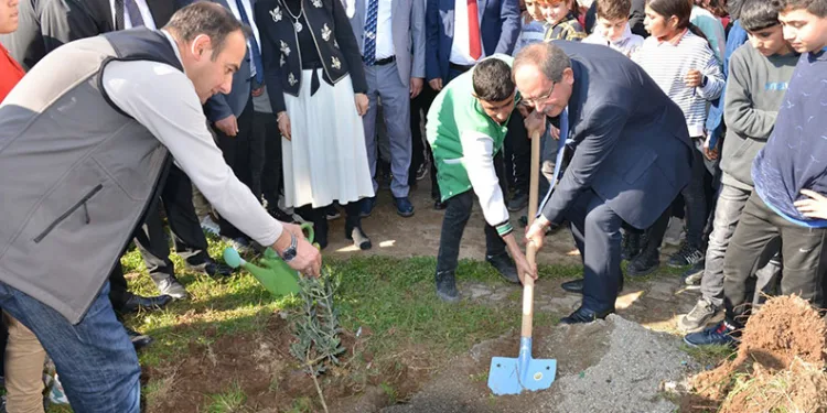 Mersin’de okul bahçelerine 600 zeytin fidanı dikildi