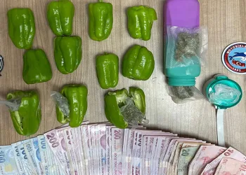Dolma biberle uyuşturucu servisi