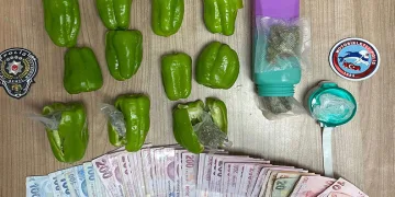 Dolma biberle uyuşturucu servisi