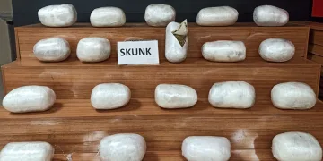 Şanlıurfa’da 20 kilogram uyuşturucu ele geçirildi