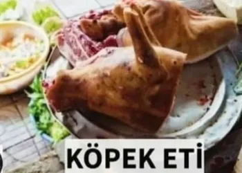 Bursa’da köpek eti satışı iddiasında gerçek ortaya çıktı