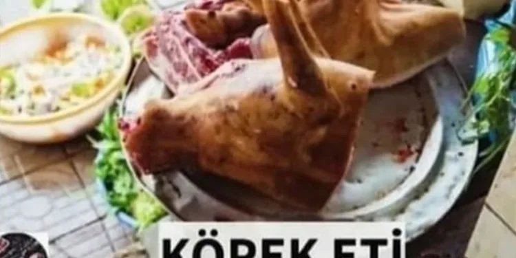 Bursa’da köpek eti satışı iddiasında gerçek ortaya çıktı