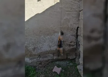 Kedi asılarak öldürüldü
