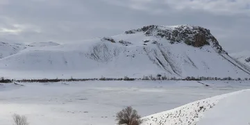 Tercan Baraj Gölü dondu