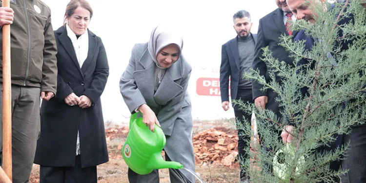 Bakan Göktaş deprem şehitleri adına fidan dikti