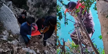 Ağaç dalı keserken fenalaşan kişi hayatını kaybetti