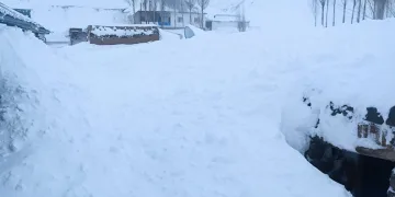 Van’da bir evin üzerine çığ düştü