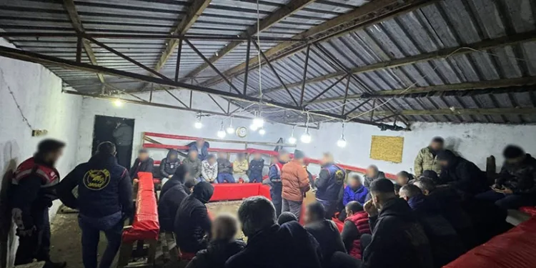 Horoz dövüşüne jandarma baskını