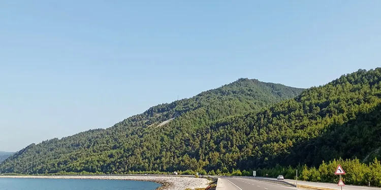 Samsun’a 2023 yılında 504 milyon TL’lik orman yatırımı