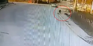 Okula giden çocuğa 2 köpek saldırdı