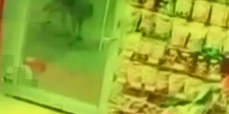 Aç kalan kurt, köpeğe saldırdı