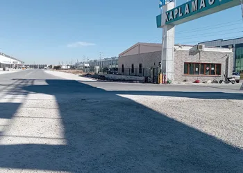 Tartıştığı iş arkadaşını baltayla öldürdü
