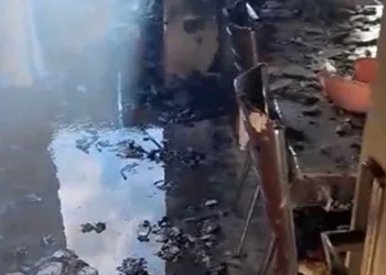 Giresun’da korkutan yangın