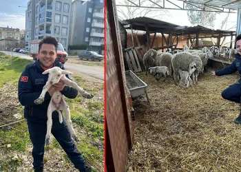 Bursa’da kuyuya düşen kuzuyu itfaiye kurtardı