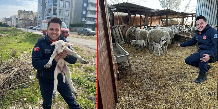 Bursa’da kuyuya düşen kuzuyu itfaiye kurtardı