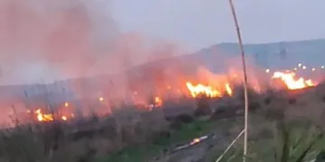 Erzin’de sazlık alanda çıkan yangını itfaiye ekipleri söndürdü
