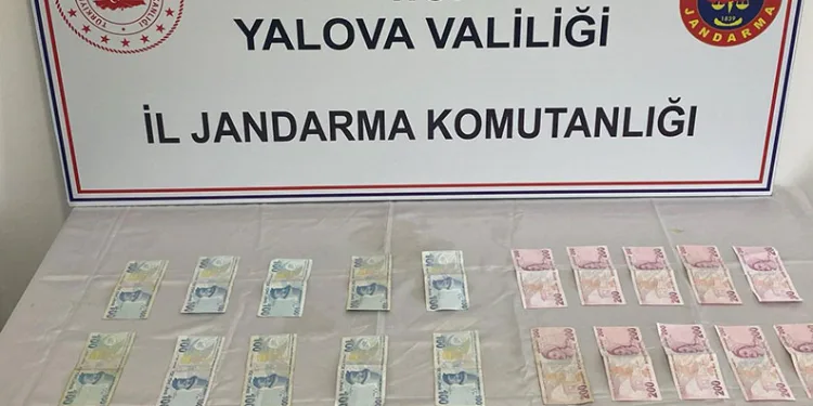 İki ilde eş zamanlı sahte para operasyonu