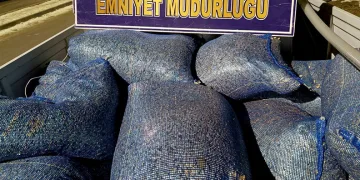 Çekirdek hırsızı ekiplerden kaçamadı
